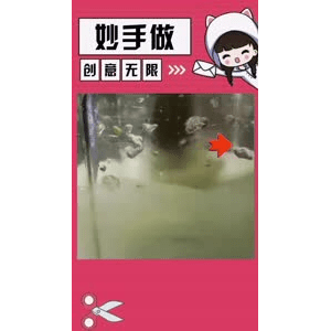 生活小妙招4572