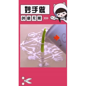 生活小妙招4577