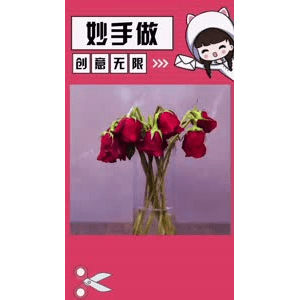 生活小妙招4579