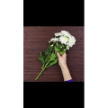 生活小妙招4789