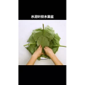 生活小妙招4818
