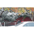4k北京红墙下雪景实拍