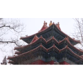 下雪时唯美的故宫紫禁城 (1)