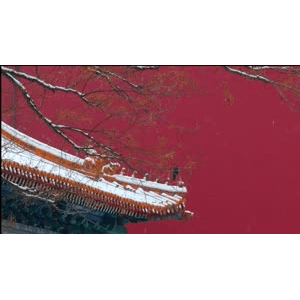 下雪时唯美的故宫紫禁城(1)