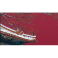 下雪时唯美的故宫紫禁城(1)