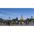 大雁塔南广场延时