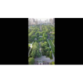 小雁塔航拍