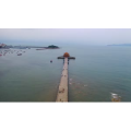 航拍青岛栈桥 (1)
