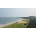 航拍青岛银沙滩海水浴场
