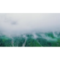 AM06312 西藏风情点烛拜佛跳广场舞（有音乐）