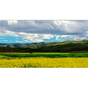 AM06314 唯美西藏延时风景（无音乐）