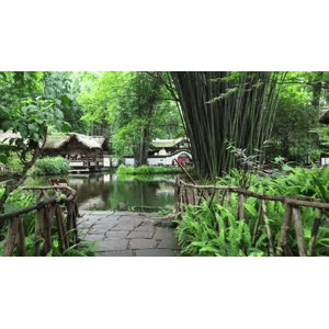 四川29