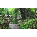 四川29