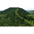 航拍四川金堂山坡上的牛群