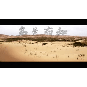 14沙漠纵队