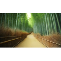 8K风景-放松音乐-视觉逃避。_超清 4K