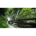 【4K60FPS】德国-自然宫殿和城堡