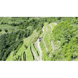 【4K】意大利 五渔村 Corniglia 徒步游_超清 4K