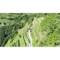 【4K】意大利 五渔村 Corniglia 徒步游_超清 4K