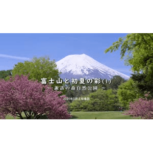 【4K】2021 富士山 初夏色彩_超清 4K