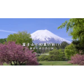 【4K】2021 富士山 初夏色彩_超清 4K