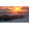 Reflections Japan 4K_超清 4K