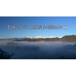 信州的佐藤山 白雪覆盖的北阿尔卑斯山和秋叶_超清 4K