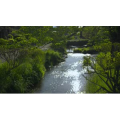 日本山中湖花之都公园_超清 4K