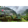 日本最受欢迎的钓鱼胜地之一背后的工作_超清 4K
