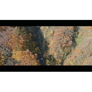 秋染まる赤芝峡~Autumn Canyon~_超清 4K