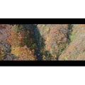 秋染まる赤芝峡~Autumn Canyon~_超清 4K