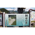 日本乡村散步 - 水稻梯田和住宅区 兵库县【上牛尾】_超清 4K
