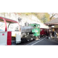 瑞士 乘坐 Brienz Rothorn Bahn 蒸汽小火车赏秋_超清 4K