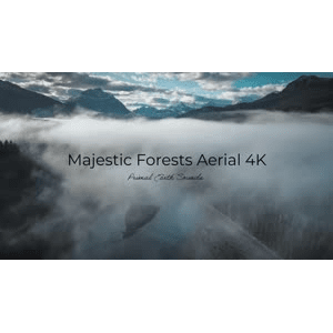 雄伟森林空中4K_超清 4K