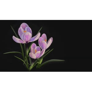 【4K,60fps】超高清每一帧都可以用来当壁纸_超清 4K