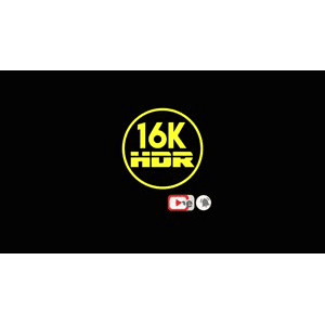【4K高清欣赏】欣赏一下这些五颜六色的笑着的花朵，心情格外舒畅_超清 4K