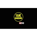 【4K高清欣赏】欣赏一下这些五颜六色的笑着的花朵，心情格外舒畅_超清 4K