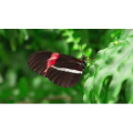 【4K】美丽的夏季色彩-放松冥想背景音乐-38分钟_超清 4K