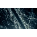 数字通讯180