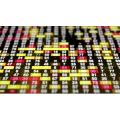 数字通讯119