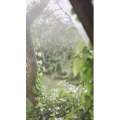 大自然12