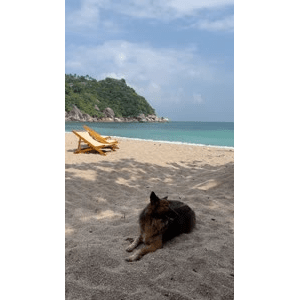 海边9