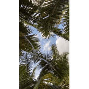 海边12