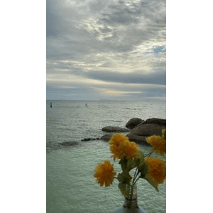 海边13