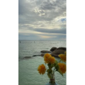 海边13