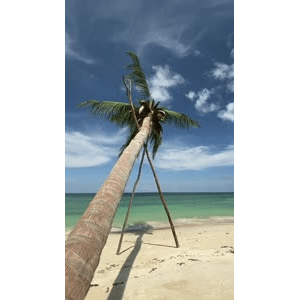 海边16