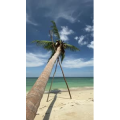 海边16