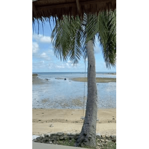 海边24