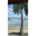 海边24