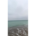 海景11